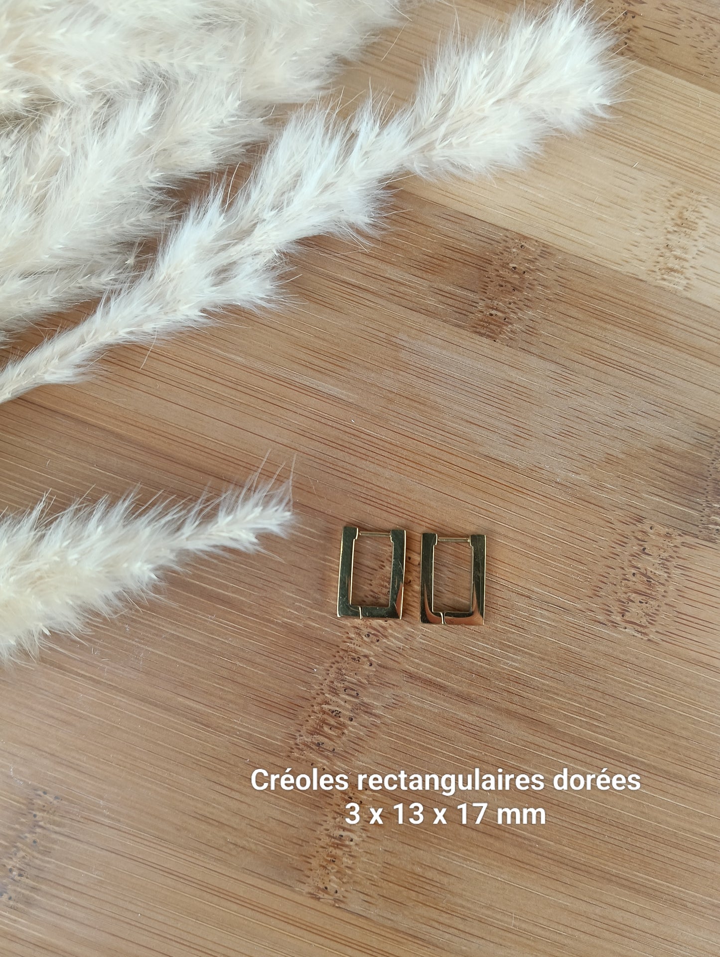 Créoles interchangeables